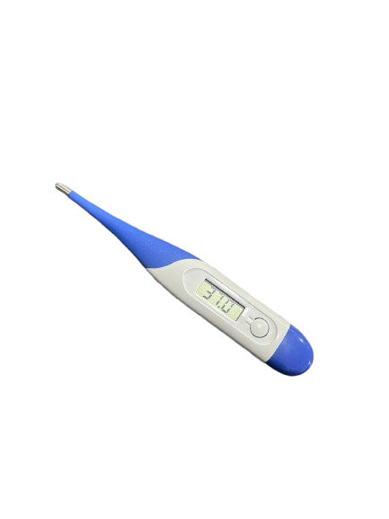 Digital Thermometer